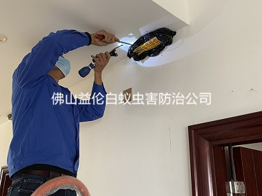 南海區大瀝碧桂園天花板治白蟻