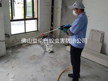 平洲房屋裝修預(yù)防白蟻
