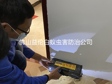 佛山碧桂園小區防治白蟻